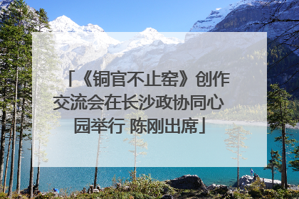 《铜官不止窑》创作交流会在长沙政协同心园举行 陈刚出席