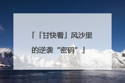 「甘快看」风沙里的逆袭“密码”
