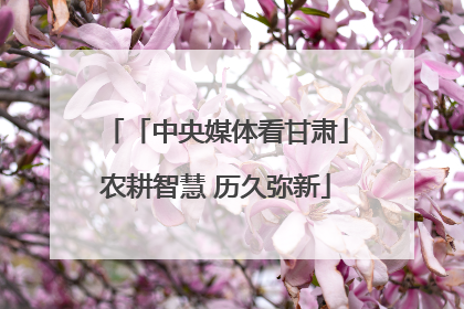 「中央媒体看甘肃」农耕智慧 历久弥新
