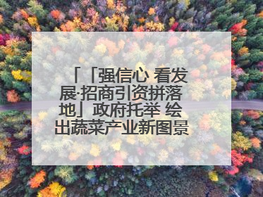 「强信心 看发展·招商引资拼落地」政府托举 绘出蔬菜产业新图景——镇原县甘肃聚广利现代设施蔬菜种植基地见闻