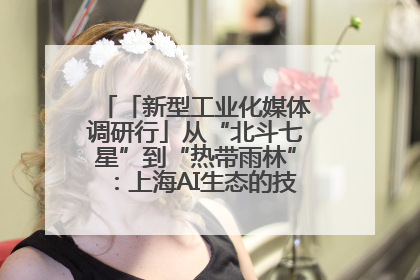 「新型工业化媒体调研行」从“北斗七星”到“热带雨林”：上海AI生态的技术商业共生密码