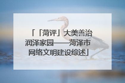 「菏评」大美善治润泽家园——菏泽市网络文明建设综述