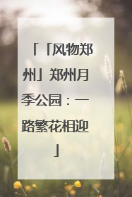 「风物郑州」郑州月季公园：一路繁花相迎