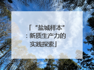 “盐城样本”：新质生产力的实践探索