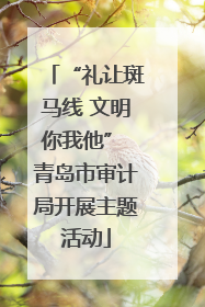 “礼让斑马线 文明你我他” 青岛市审计局开展主题活动