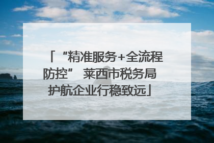 “精准服务+全流程防控” 莱西市税务局护航企业行稳致远
