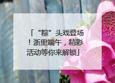 “粽”头戏登场！浙里端午，精彩活动等你来解锁