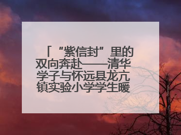 “紫信封”里的双向奔赴——清华学子与怀远县龙亢镇实验小学学生暖心书信之约
