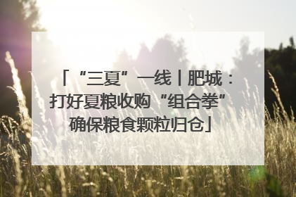 “三夏”一线丨肥城：打好夏粮收购“组合拳” 确保粮食颗粒归仓