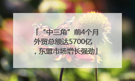 “中三角”前4个月外贸总额达5700亿，东盟市场增长强劲