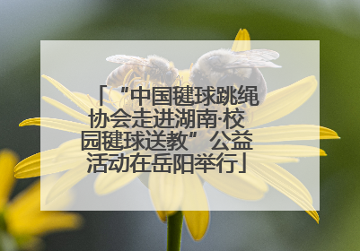 “中国毽球跳绳协会走进湖南·校园毽球送教”公益活动在岳阳举行