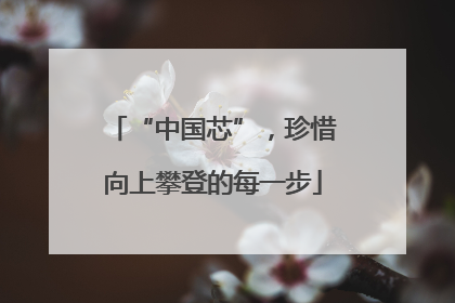 “中国芯”，珍惜向上攀登的每一步