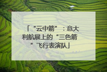 “云中箭”：意大利航展上的“三色箭”飞行表演队