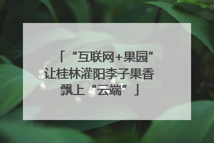 “互联网+果园”让桂林灌阳李子果香飘上“云端”