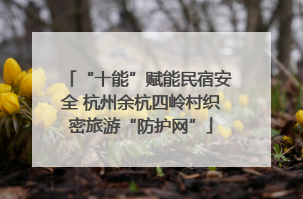 “十能”赋能民宿安全 杭州余杭四岭村织密旅游“防护网”