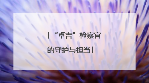 “卓吉”检察官的守护与担当
