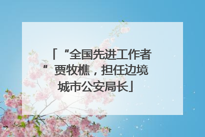“全国先进工作者”贾牧樵，担任边境城市公安局长