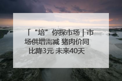 “培”你探市场｜市场供增需减 猪肉价同比降3元 未来40天便宜猪肉敞开吃
