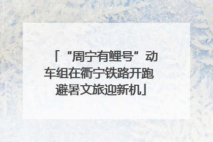 “周宁有鲤号”动车组在衢宁铁路开跑 避暑文旅迎新机