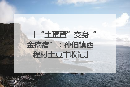 “土蛋蛋”变身“金疙瘩”：孙伯镇西程村土豆丰收记