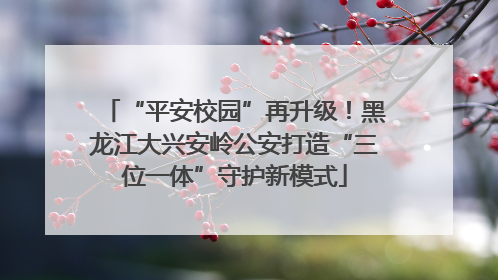 “平安校园”再升级！黑龙江大兴安岭公安打造“三位一体”守护新模式