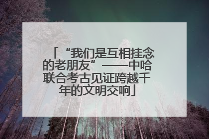 “我们是互相挂念的老朋友”——中哈联合考古见证跨越千年的文明交响