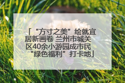 “方寸之美”绘就宜居新画卷 兰州市城关区40余小游园成市民“绿色福利”打卡地