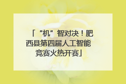 “机”智对决！肥西县第四届人工智能竞赛火热开赛