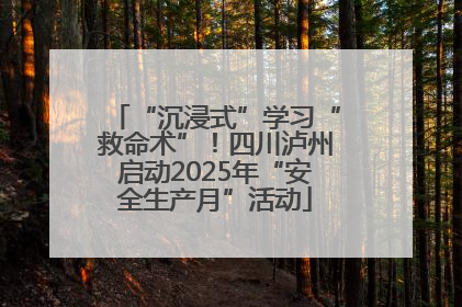 “沉浸式”学习“救命术”！四川泸州启动2025年“安全生产月”活动