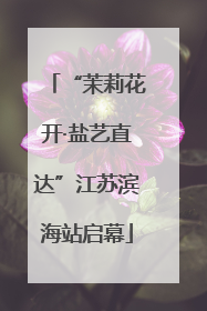 “茉莉花开·盐艺直达”江苏滨海站启幕