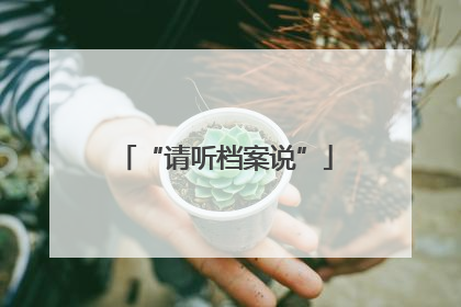 “请听档案说”