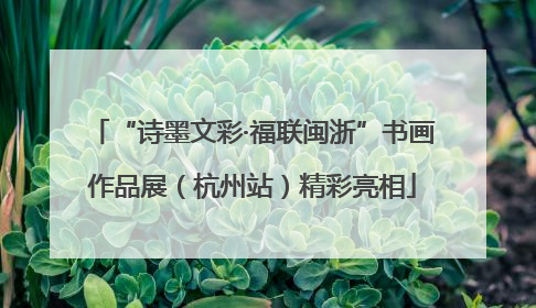 “诗墨文彩·福联闽浙”书画作品展（杭州站）精彩亮相