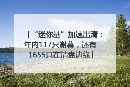 “迷你基”加速出清：年内117只谢幕，还有1655只在清盘边缘