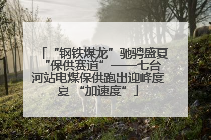 “钢铁煤龙”驰骋盛夏 “保供赛道”——七台河站电煤保供跑出迎峰度夏 “加速度”
