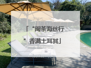 “闽茶海丝行”香满土耳其