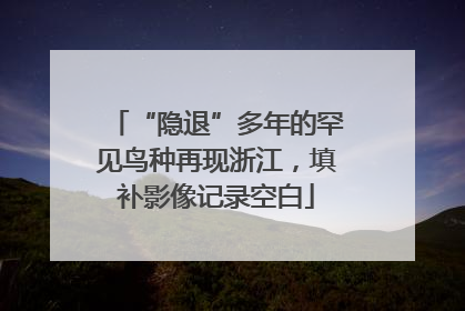“隐退”多年的罕见鸟种再现浙江，填补影像记录空白