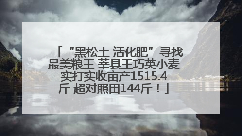 “黑松土 活化肥”寻找最美粮王 莘县王巧英小麦实打实收亩产1515.4斤 超对照田144斤！