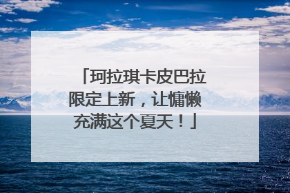 珂拉琪卡皮巴拉限定上新，让慵懒充满这个夏天！