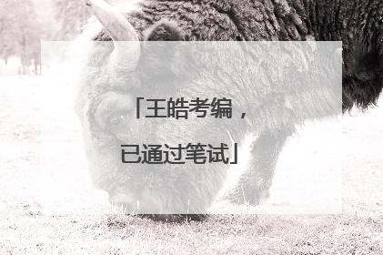 王皓考编，已通过笔试