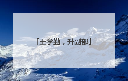 王学勤，升副部