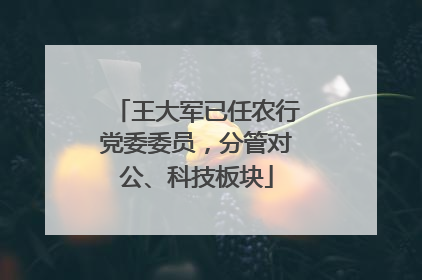 王大军已任农行党委委员，分管对公、科技板块