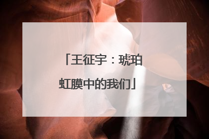 王征宇：琥珀虹膜中的我们