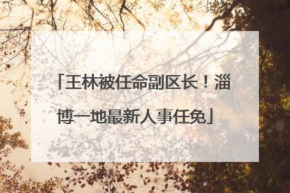 王林被任命副区长！淄博一地最新人事任免