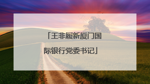 王非履新厦门国际银行党委书记
