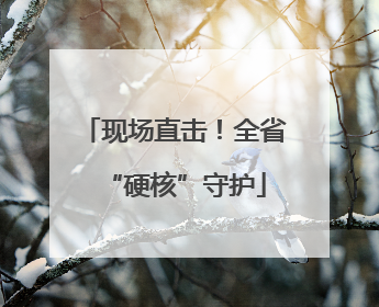 现场直击！全省“硬核”守护