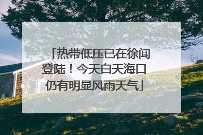 热带低压已在徐闻登陆！今天白天海口仍有明显风雨天气