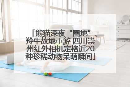 熊猫深夜“圈地”、羚牛故地重游 四川崇州红外相机定格近20种珍稀动物呆萌瞬间