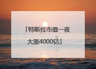 特斯拉市值一夜大涨4000亿
