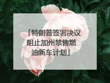 特朗普签署决议 阻止加州禁售燃油新车计划
