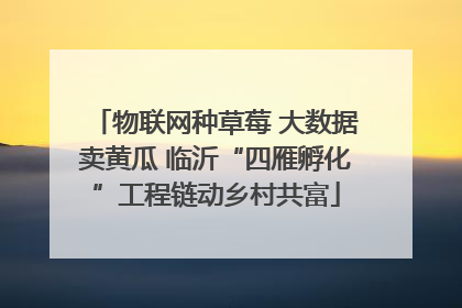 物联网种草莓 大数据卖黄瓜 临沂“四雁孵化”工程链动乡村共富